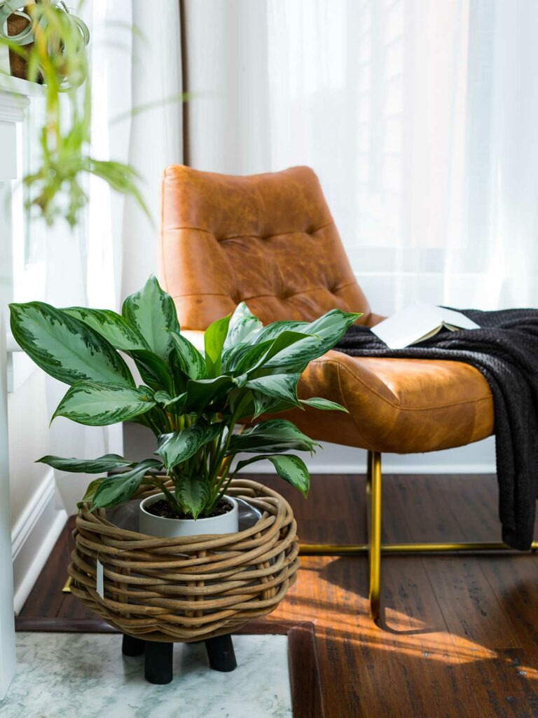 planter on table next to brown leather chair