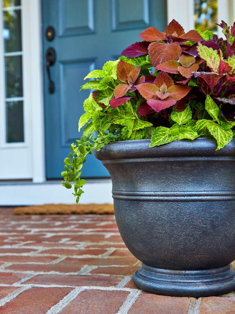 planter on porch