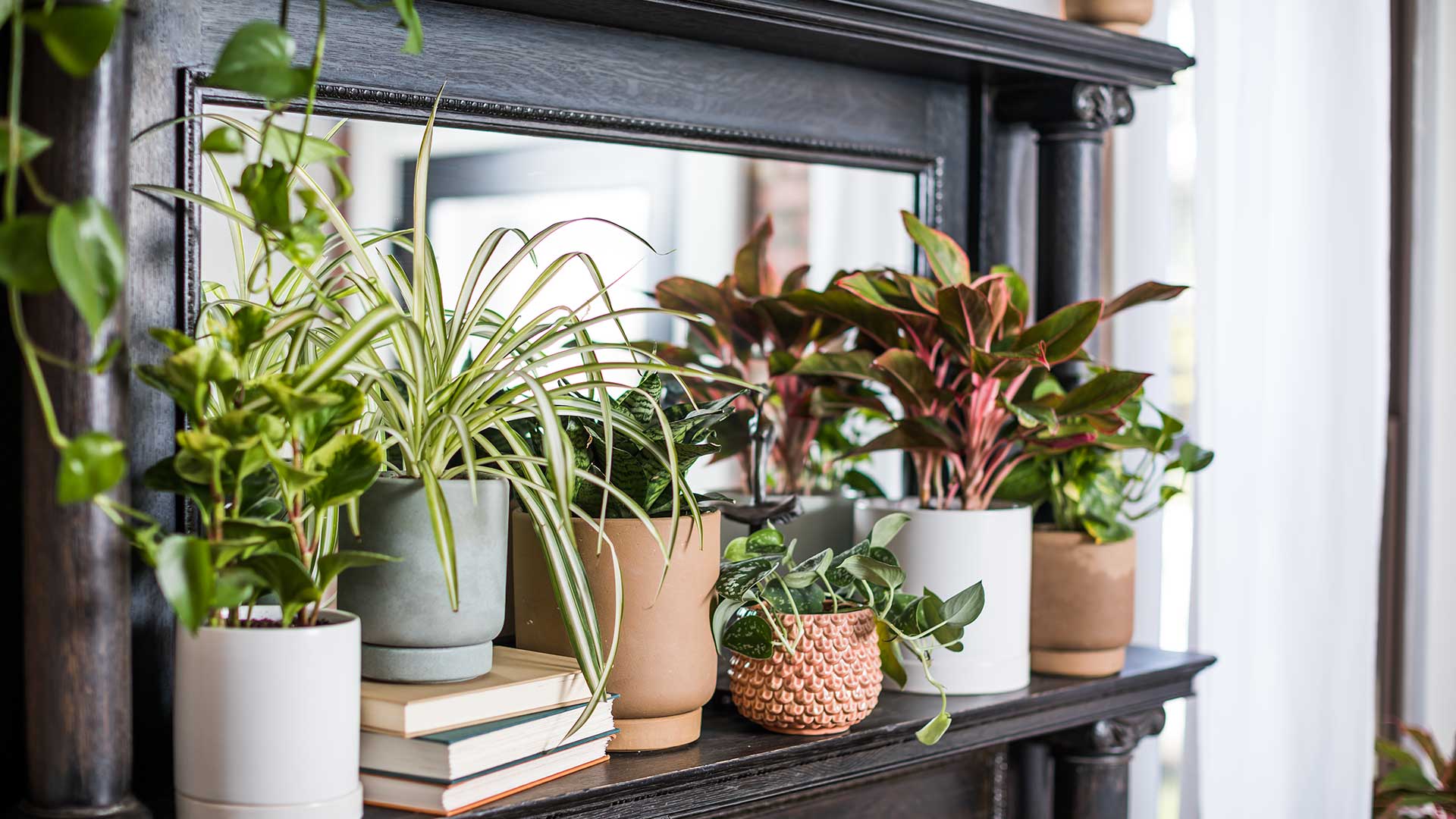 Planters on a mantle