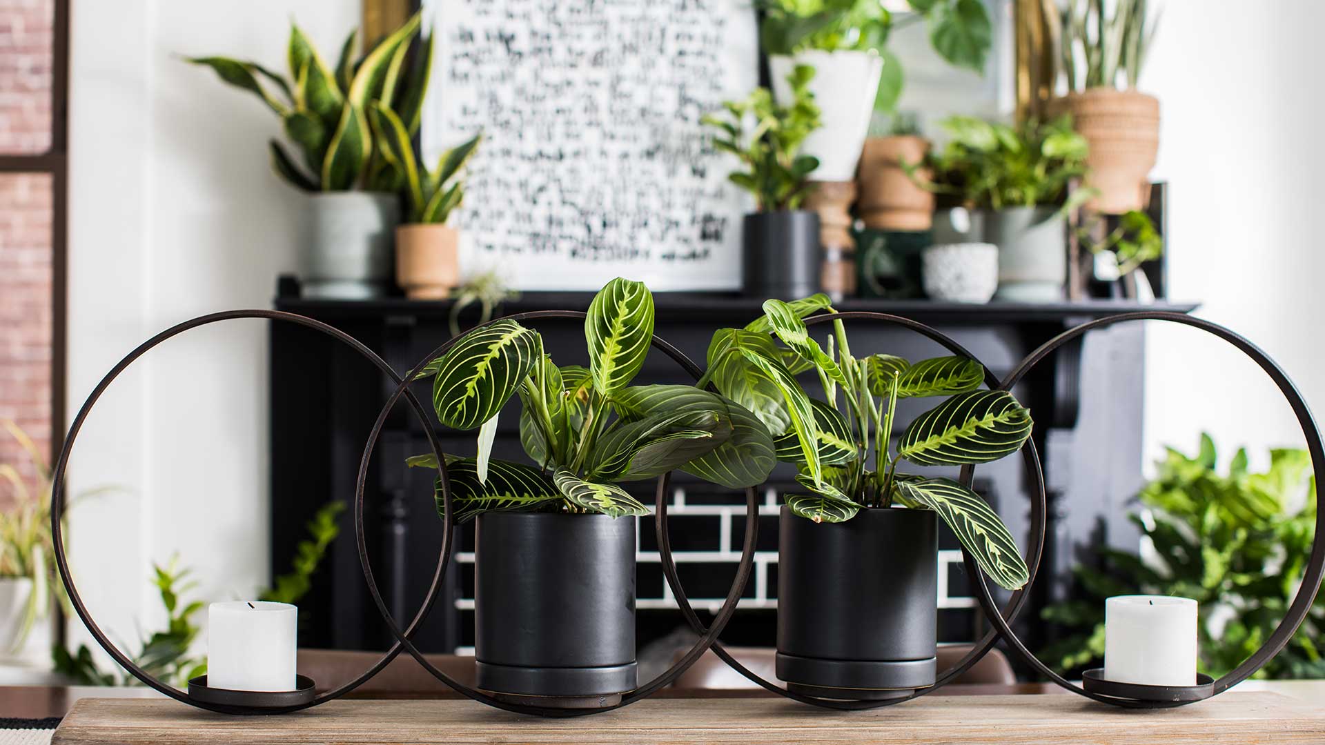 home mantle with plants